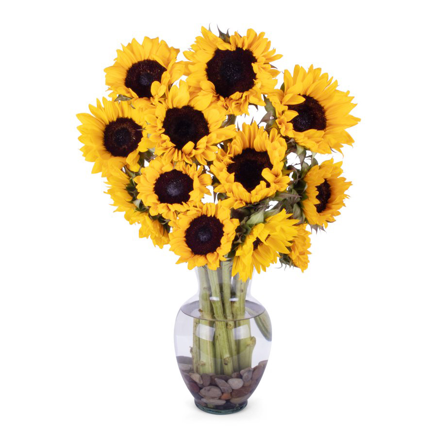 Hana Florists | Flower Arrangement 154