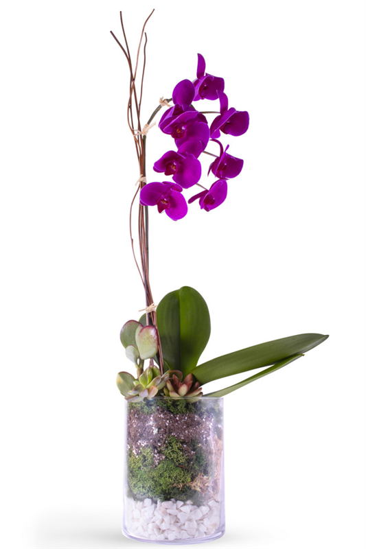 Hana*　0825 Flower Arrangement 118 Flower Delivery Contact Our - Hana Florists