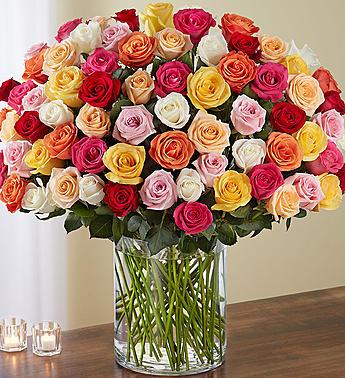 1-800-Flowers Flower Delivery Rainbow Roses 12 Stems W/ Purple Vase