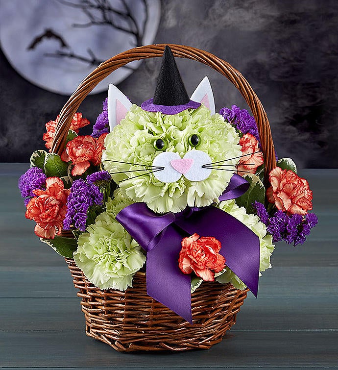 Purrfect Potions Fabulous Feline™ Flower Delivery Glendale AZ
