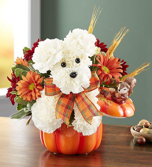 1800 flowers dog hotsell