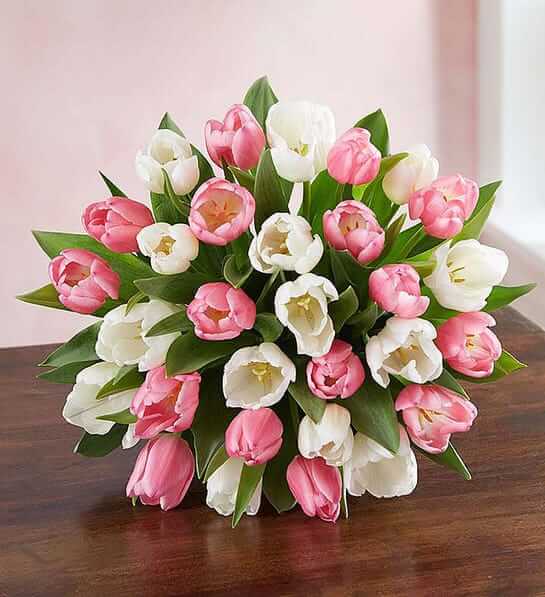 The Sweet Tulips » Send Flower Bouquets