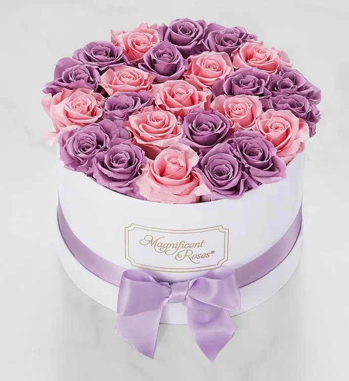 Magificent Roses Magnificent Roses® Preserved Lavender and Pink Duo Roses