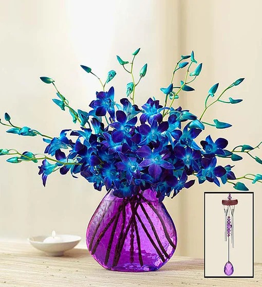 Ocean Breeze Orchids | 1800Flowers.com - 140953