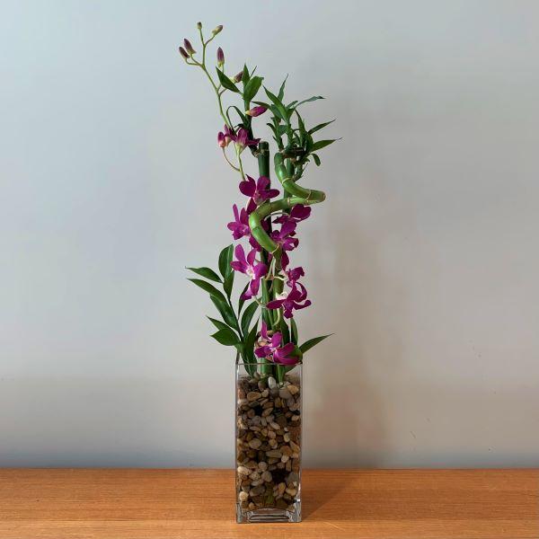 Lucky Bamboo Vase | Poppies Floral Art