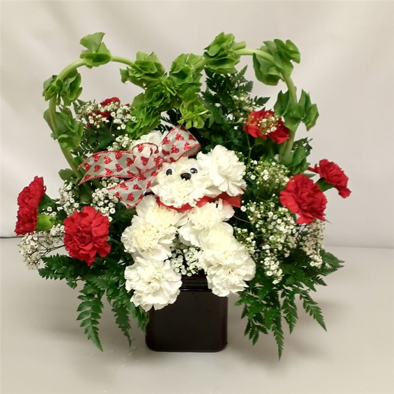 Doggie Love Flower Delivery The Villages FL Plantation Flower Designs