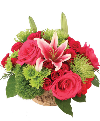 SAGE ROSES & STARGAZERS