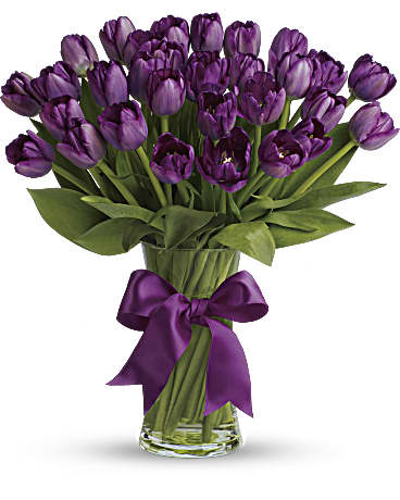 purple tulips png