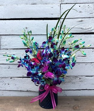 Orchid Fantasy