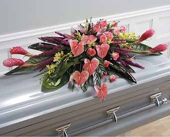 SF51-11 John Henry Sympathy