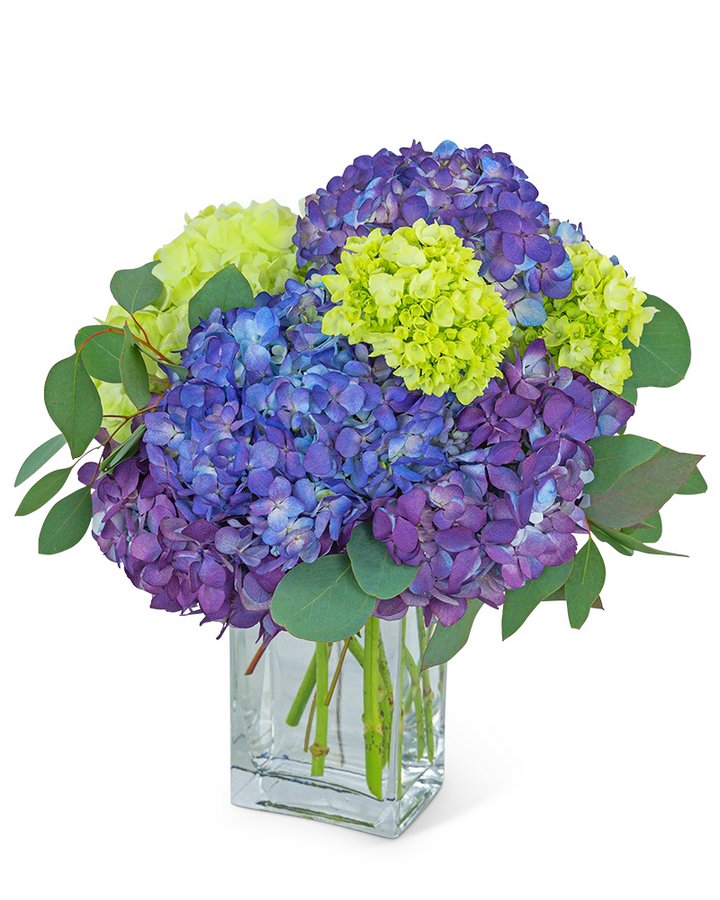 purple hydrangea arrangement