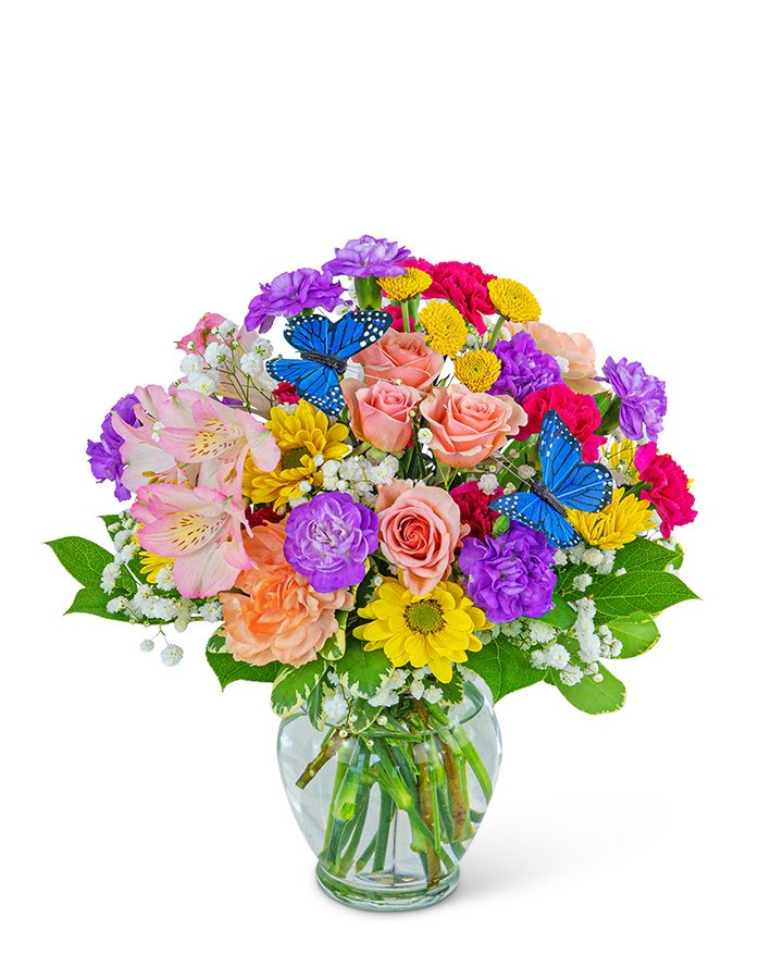 Butterfly Blooms Flower Delivery Bloomfield NY Bloomers Floral & Gift