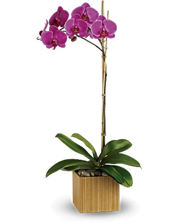 Imperial Purple Orchid Flower Bouquet
