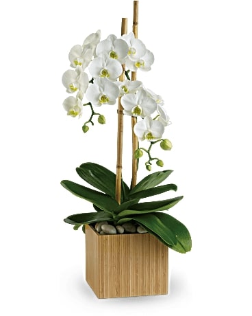 Opulent Orchids Flower Bouquet