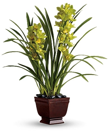 Splendid Orchids Flower Bouquet
