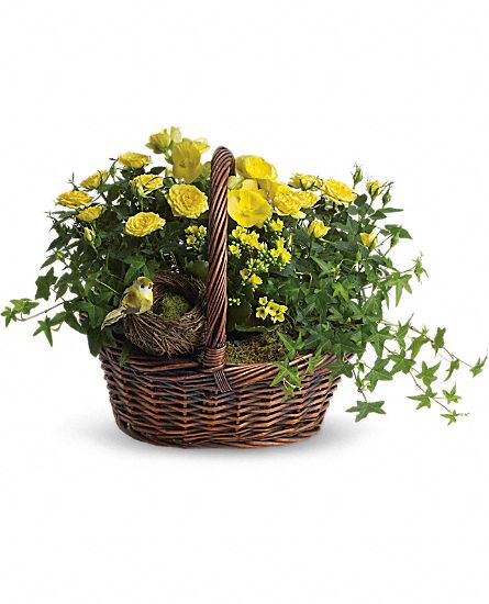 Yellow Trio Basket Flower Bouquet