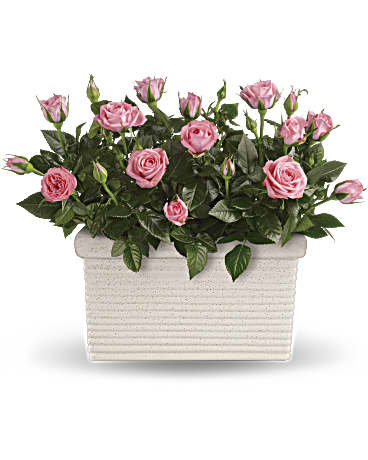 Rose Repose Flower Bouquet