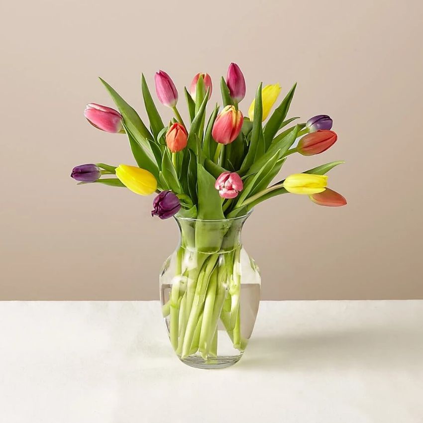 TULIPページ 2023USA #5777-5786b Forever Tulip Blossoms - Booklet of 20
