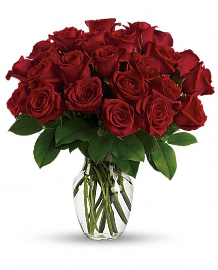 Enduring Passion - 12 Red Roses in Weatherford TX - Greene's Florist