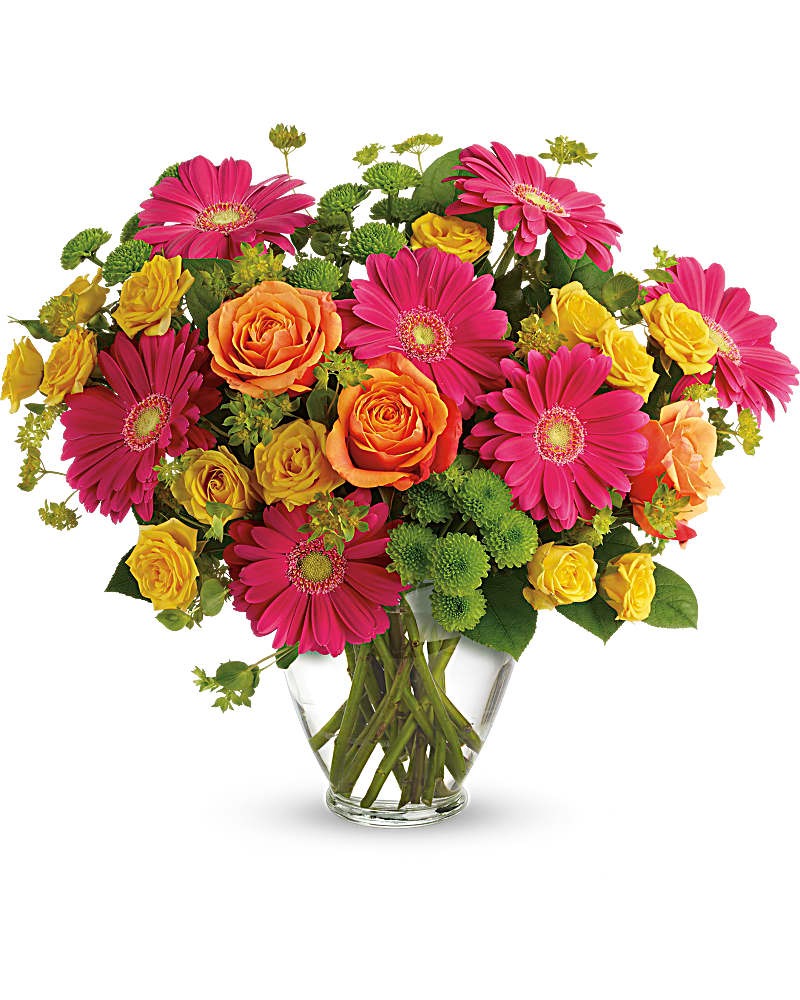 End Of The Rainbow Flower Delivery Jacksonville FL Spencer's