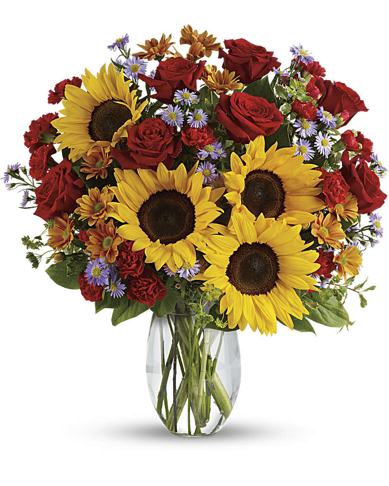 LDH-mania — E-Girls' Musha Shugyo: Happiness VS Flower