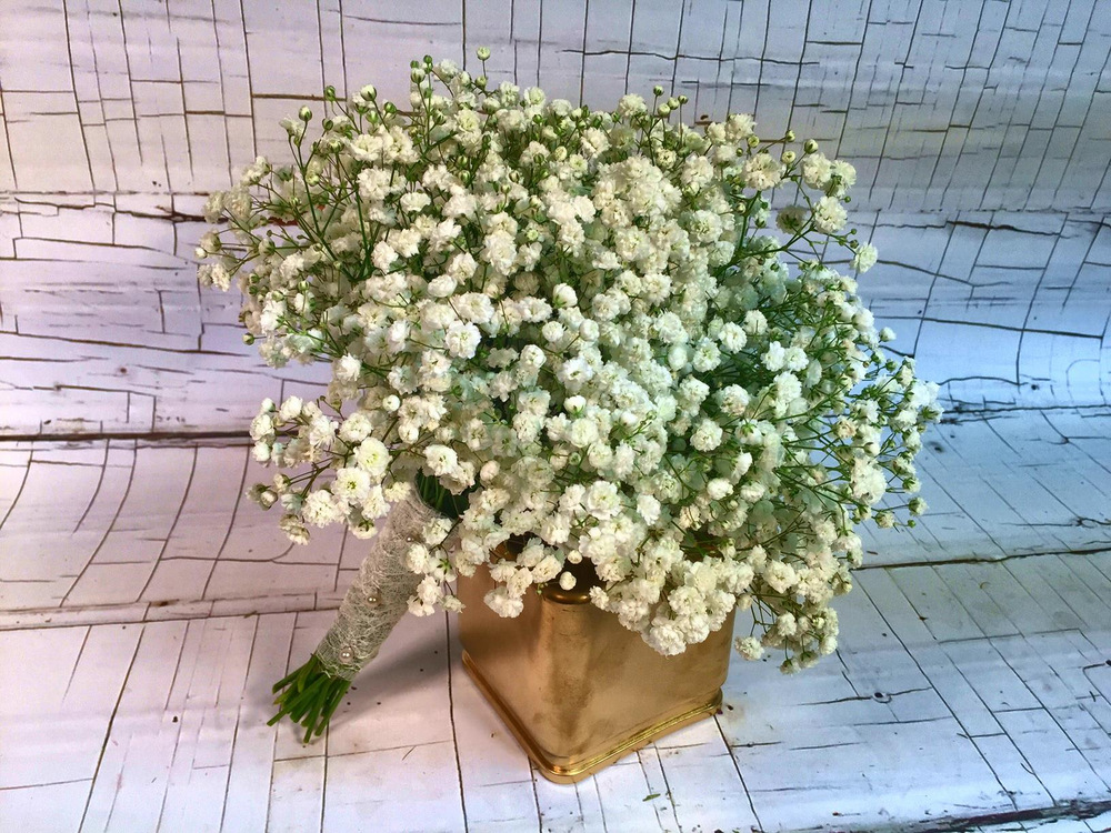 Baby's Breath Flowers, Send Luxury Baby's Breath Bouquets