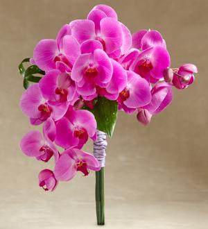 The FTD® Glorious™ Bouquet Flower Bouquet