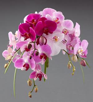 The FTD® First Look™ Bouquet by Vera Wang Flower Bouquet