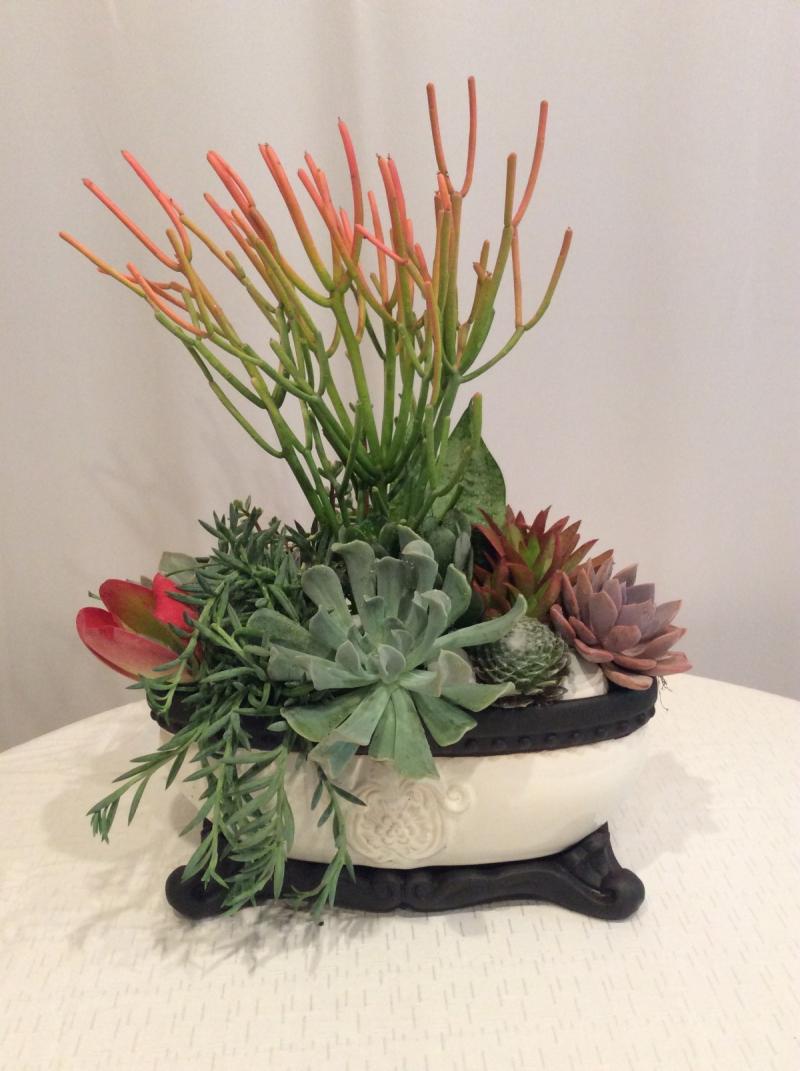 Succulent Planter Arrangement 1 : Costa Mesa, CA Florist : Same Day Flower  Delivery for any occasion