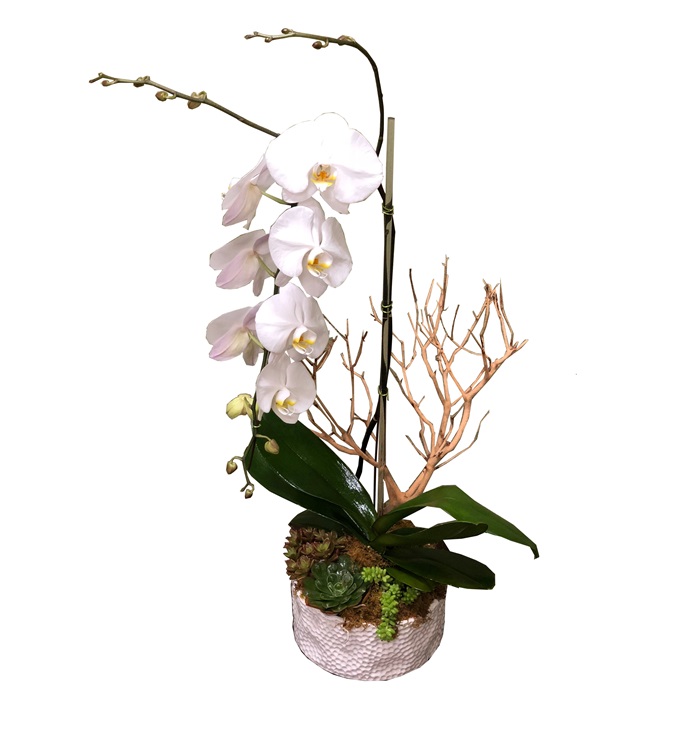 RPV-348 Flower Delivery Rancho Palos Verdes CA - Rancho Palos Verdes ...
