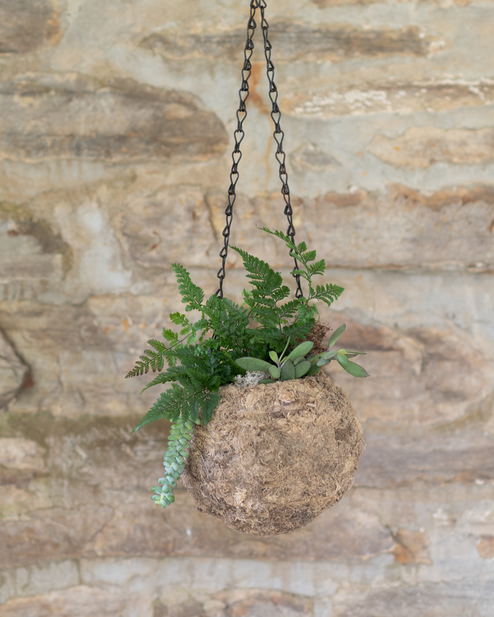 Atlas Natural Flower Delivery PORT SAINT LUCIE FL Onecelebracion