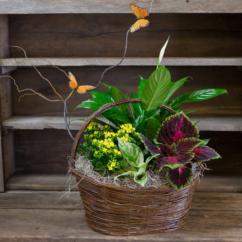 Butterfly Garden Flower Delivery Clovis CA Clovis Floral and Café