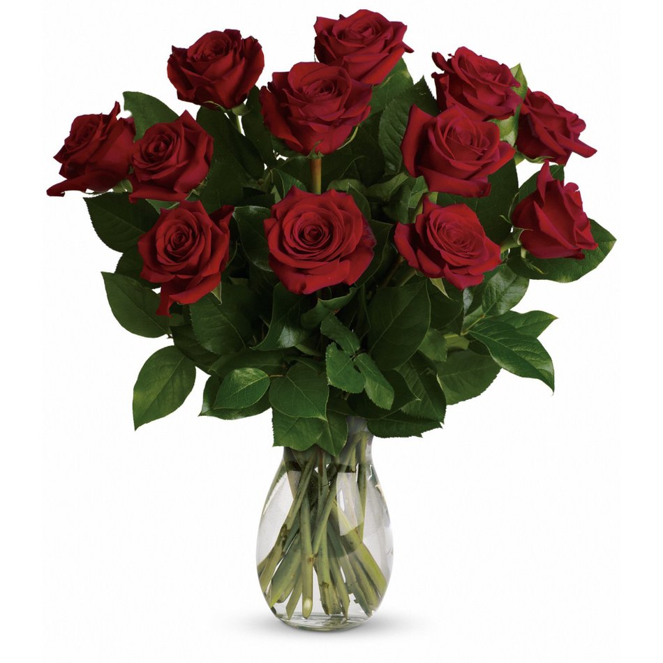 Large Bag of Red Rose Petals Flower Delivery South Lake Tahoe CA - South  Lake Tahoe Enchanted Florist