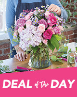 Deal of the Day - by Dormont Florist