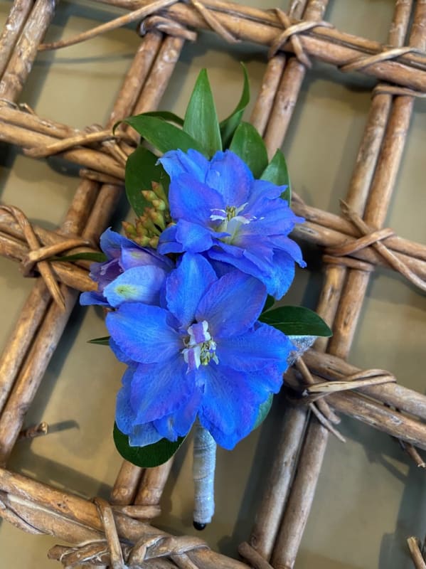 Delphinium Boutonniere Flower Delivery Grand Rapids MI Daylily Floral