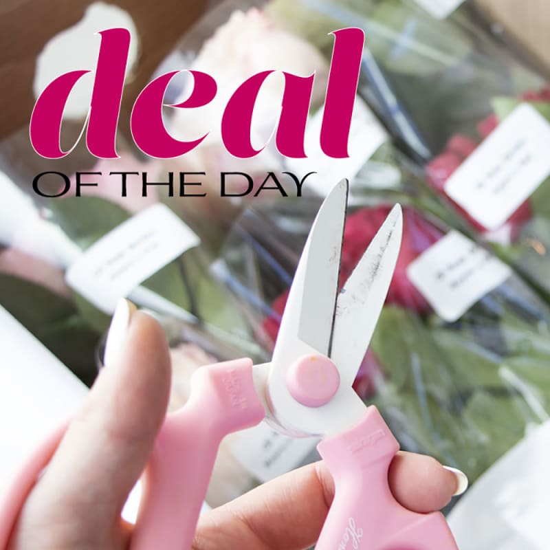 Deal of the Day Flower Delivery St Louis MO Irene's Floral Design