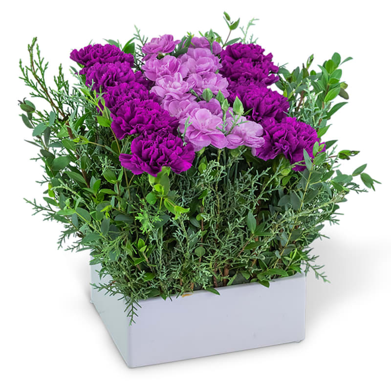 Royal Forest Pave Flower Delivery St Louis MO Irene's Floral Design