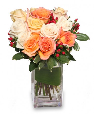 ANTIQUE ROSES