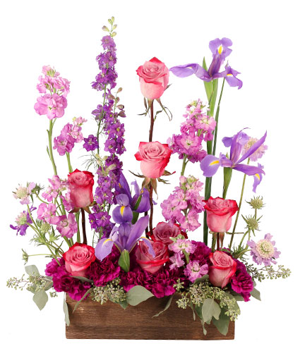 WHIMSICAL LAVENDAR