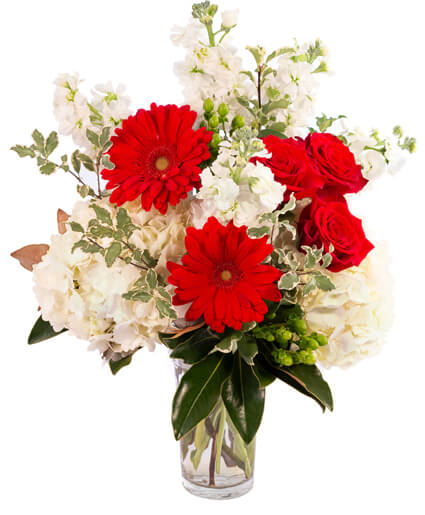 Red Frost Floral Arrangement | Christmas | Flower Shop Network