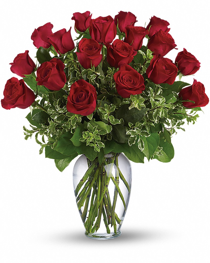 Always on My Mind - Long Stemmed Red Roses