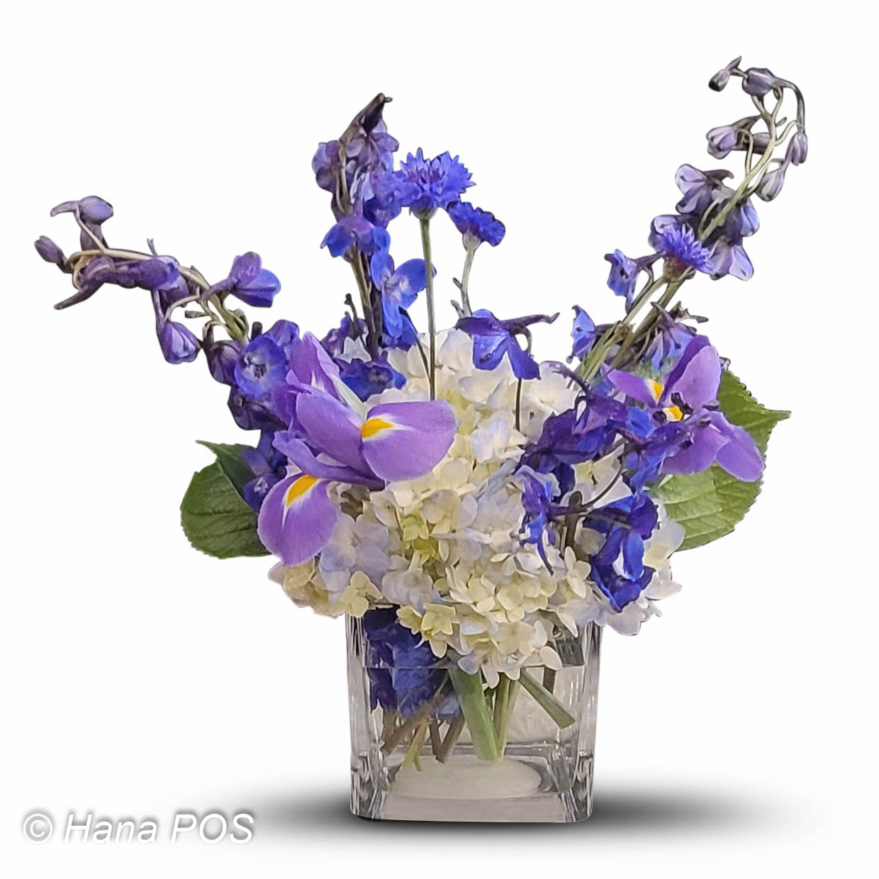 Image of Purple romance hydrangea vase