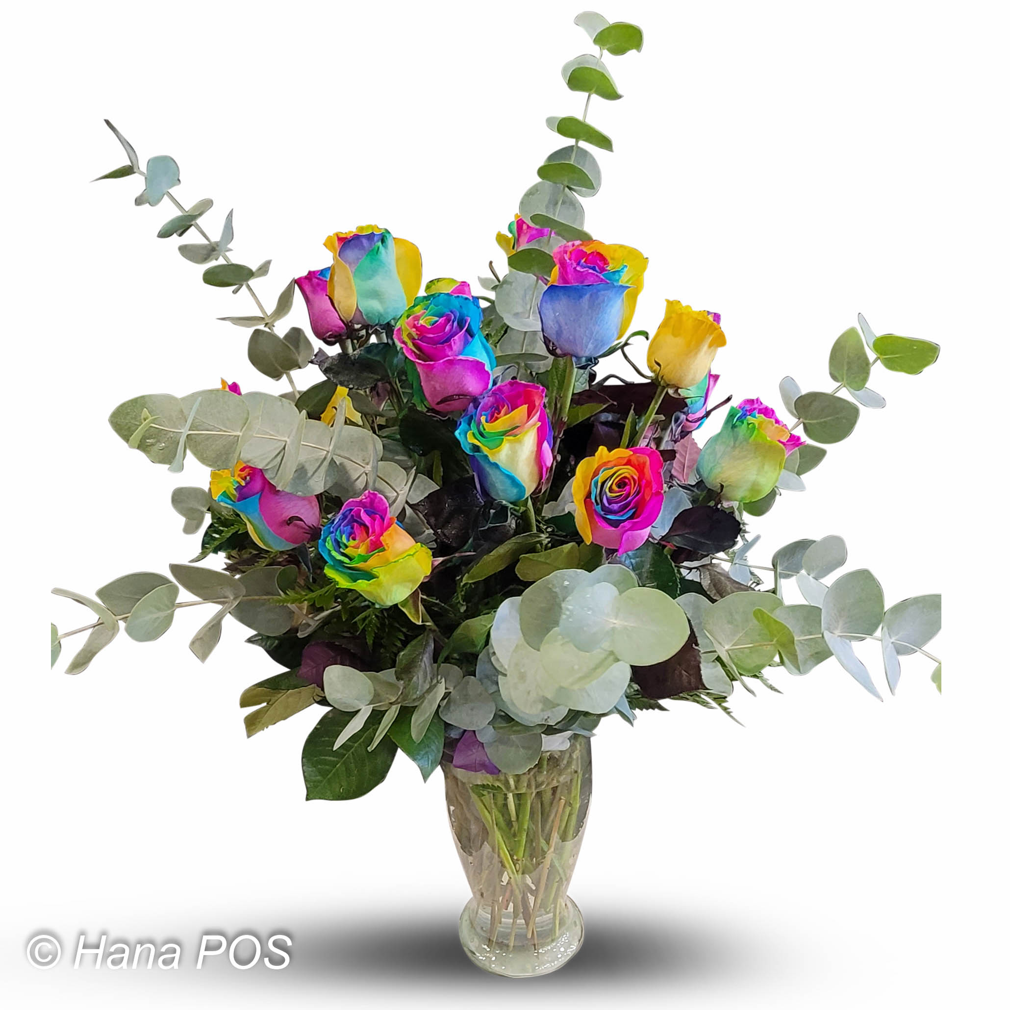 Rainbow Rose Magic