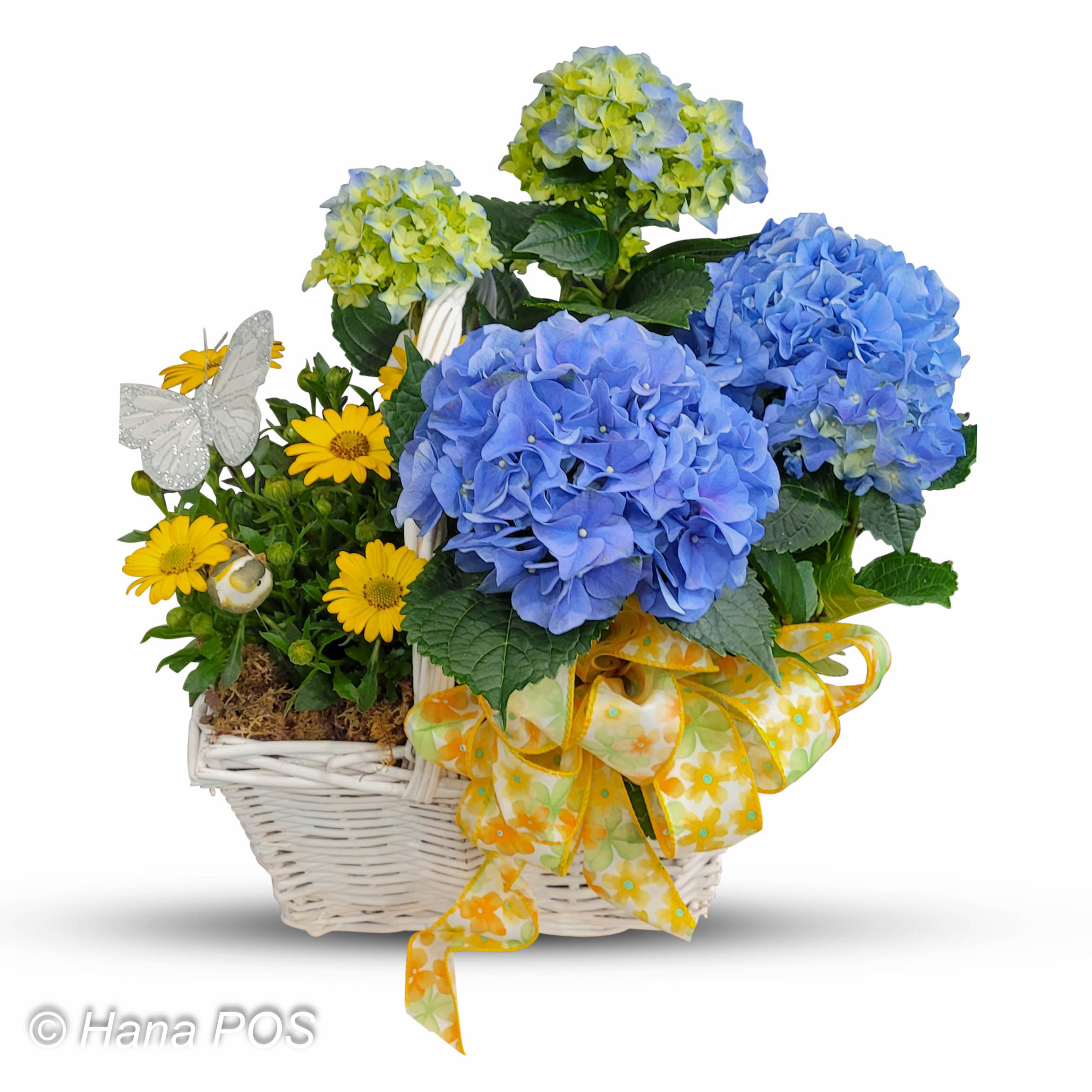 Maine Flower Box Flower Delivery Bellingham MA Brian's Country Greenery Florist