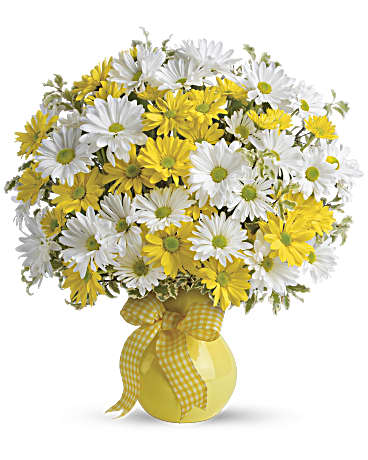 Upsy Daisy