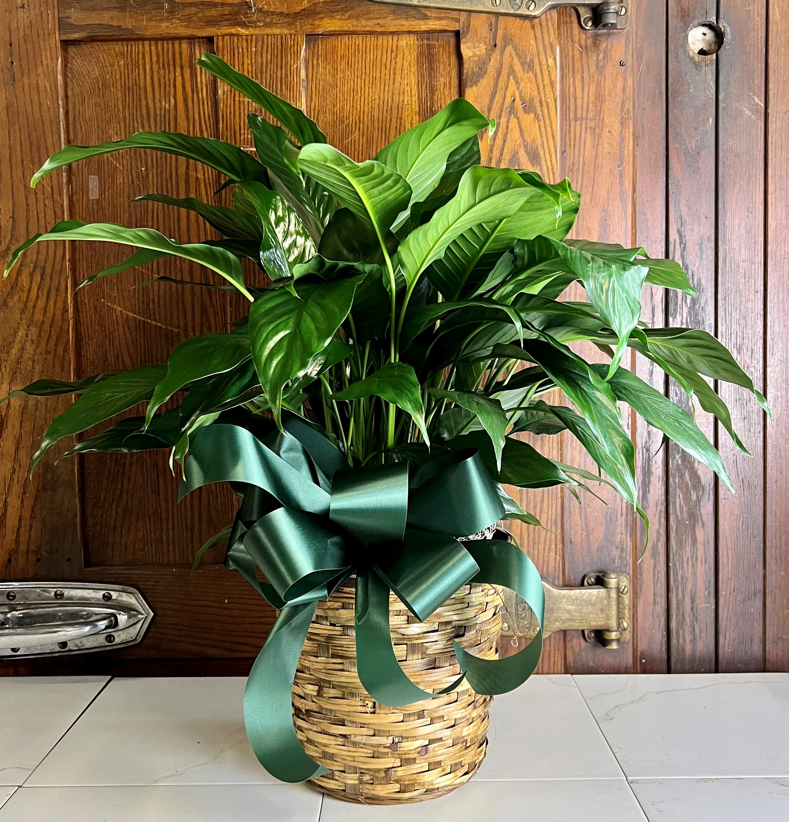 Love and Romance Flower Delivery Tulsa OK Mrs. DeHavens Flower Shop