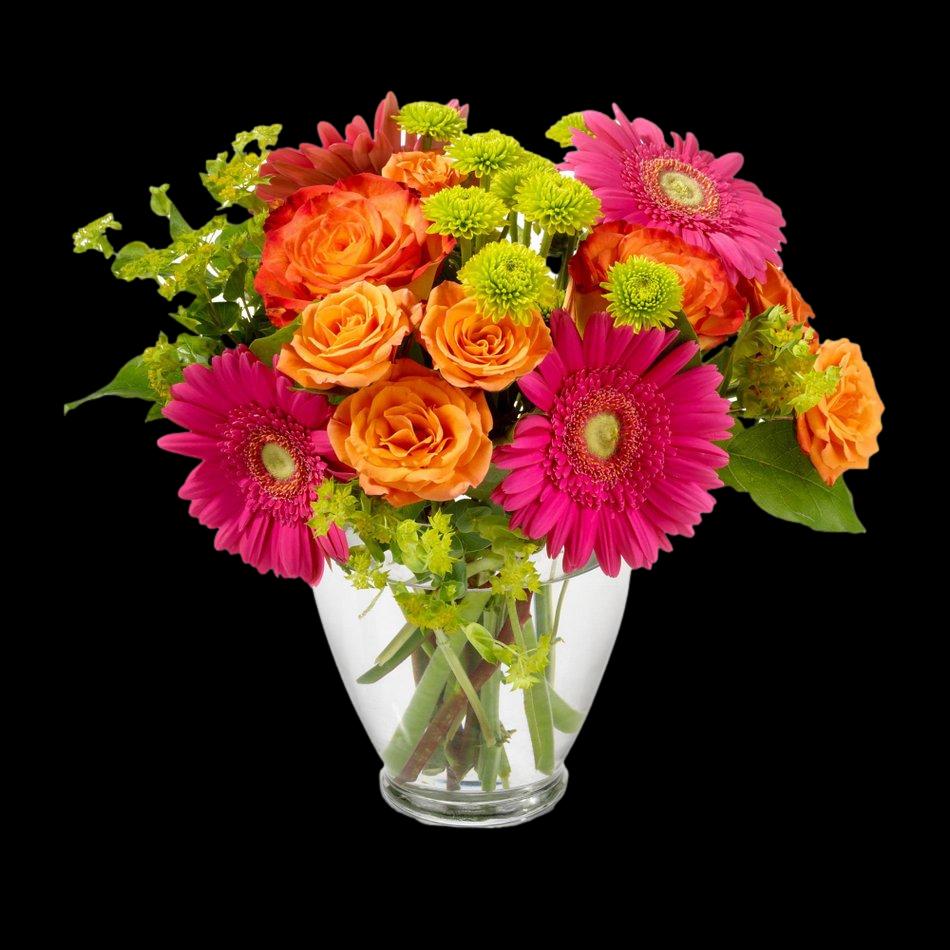 Sugar And Sweet Flower Delivery Grand Rapids MI Daylily Floral