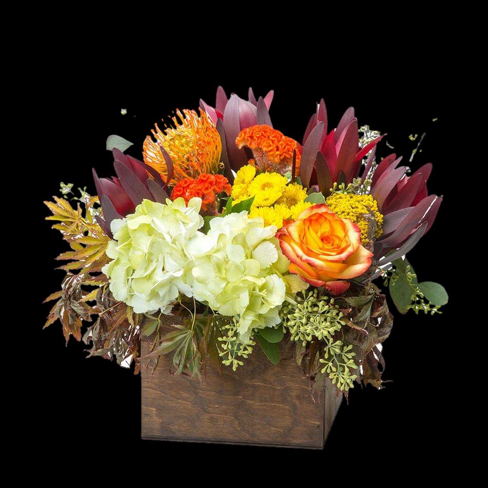 Fall Flowers Flower Delivery Grand Rapids MI Daylily Floral Cascade