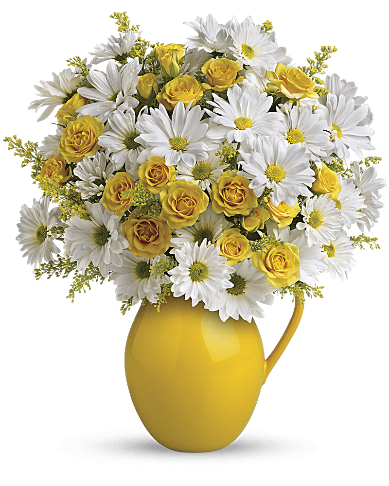 Teleflora's Sunny Day Pitcher of Daisies