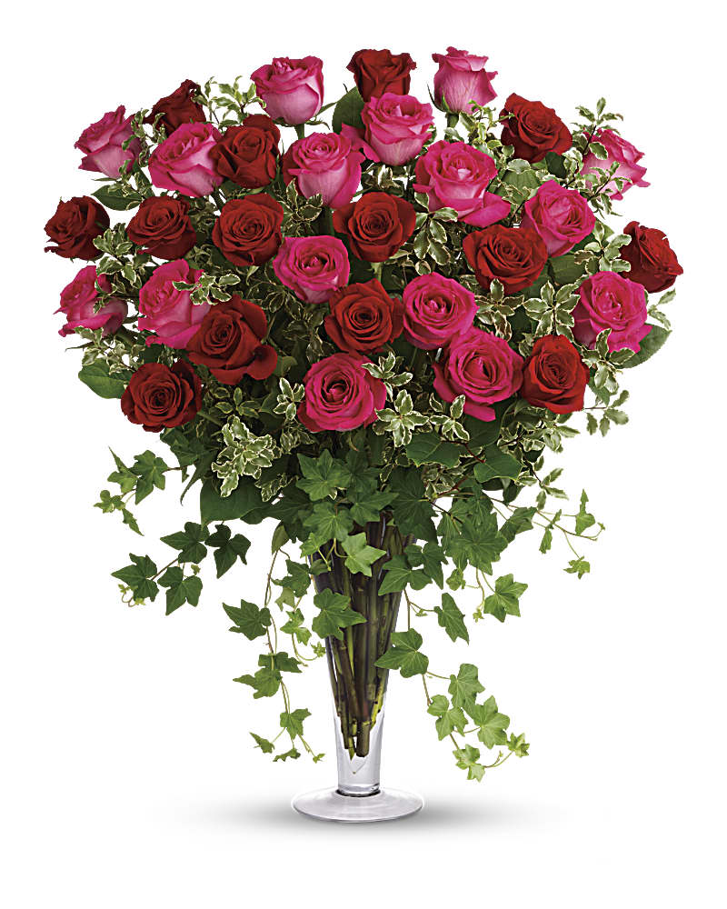 Dreaming In Pink Long Stemmed Pink Roses Bouquet Teleflora